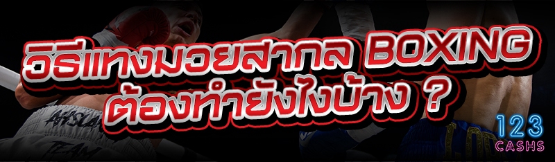 วิธีแทงมวยสากล BOXING ต้องทำยังไงบ้าง ?