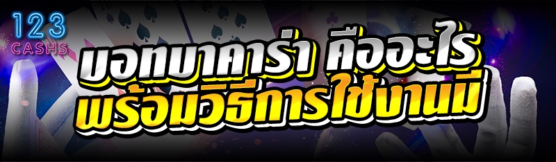 บอทบาคาร่า คืออะไร พร้อมวิธีกา