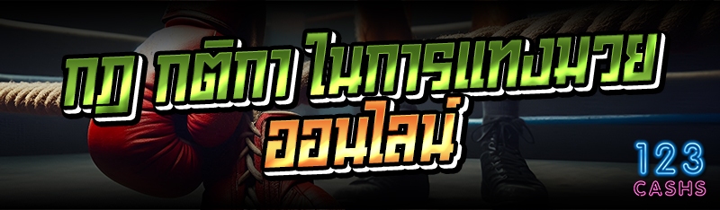 กฎ กติกา ในการแทงมวยออนไลน์